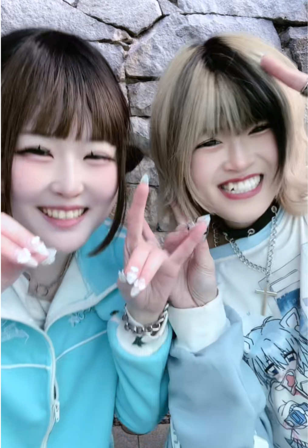 @菜乃🐟🐱