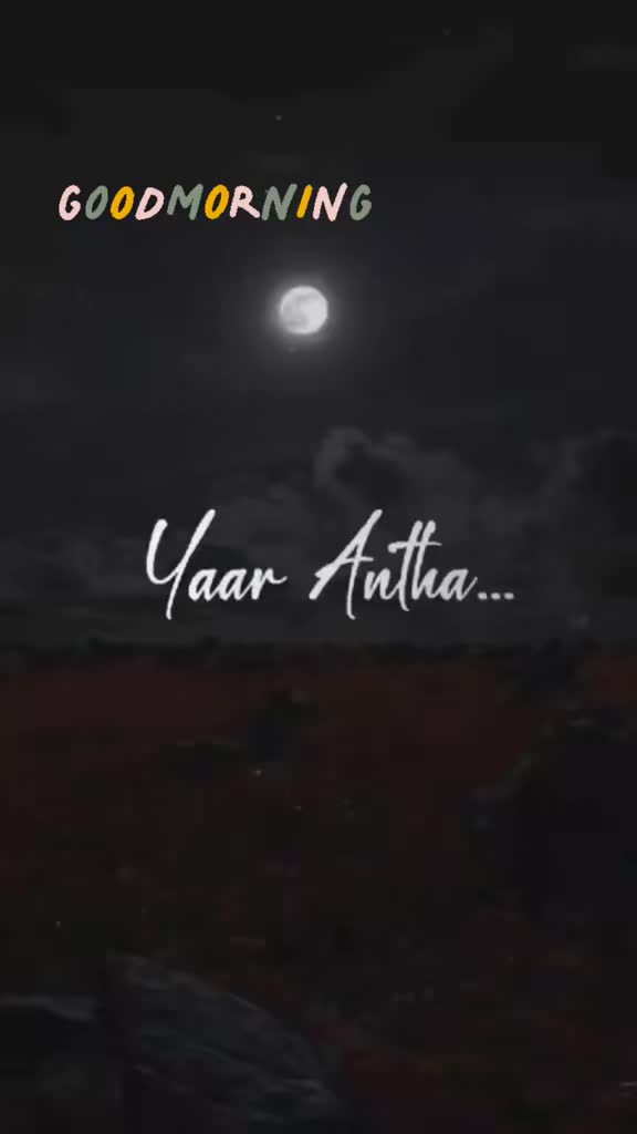 @✨️Anne De Sauza✨️