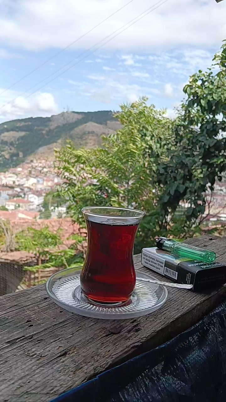 @🕸️hakan🕸️
