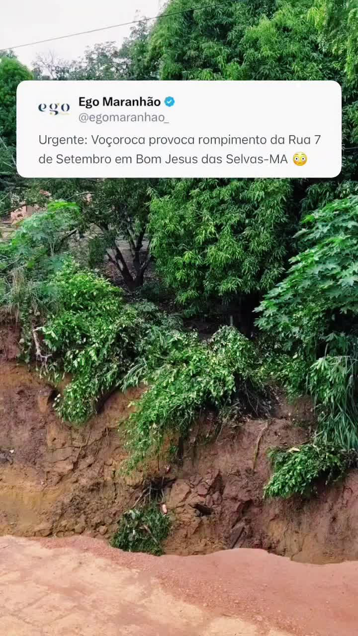 @Gil Ferreira Silva