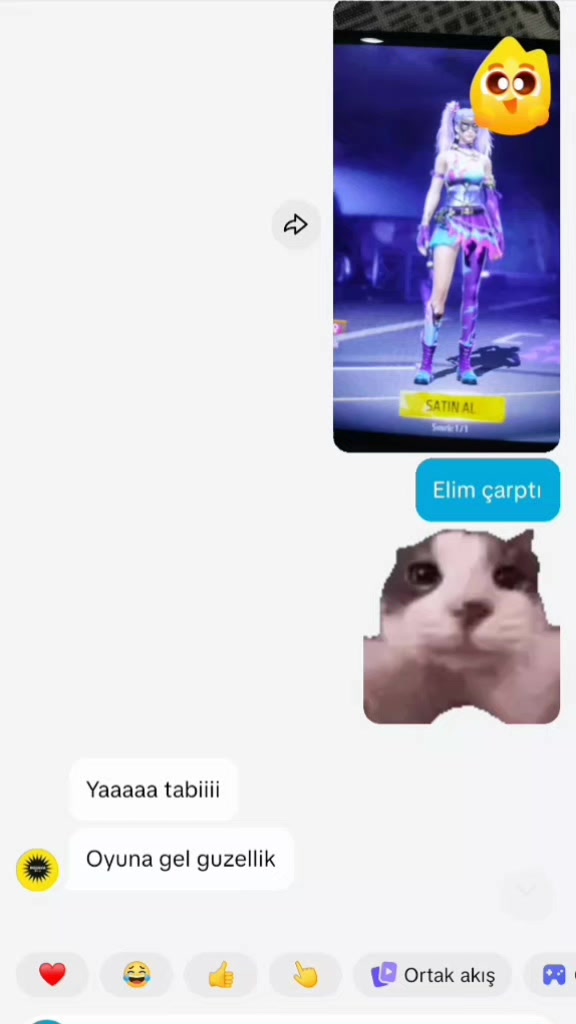@Hatun Merve