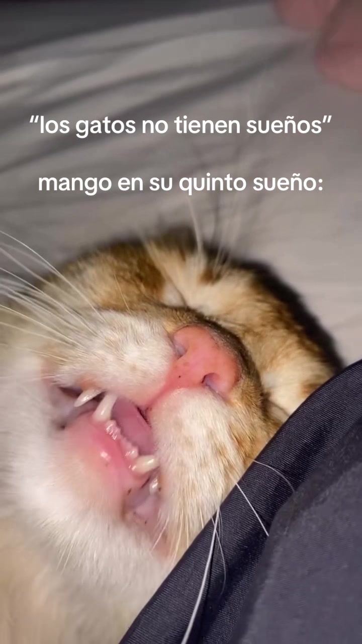 @Candy