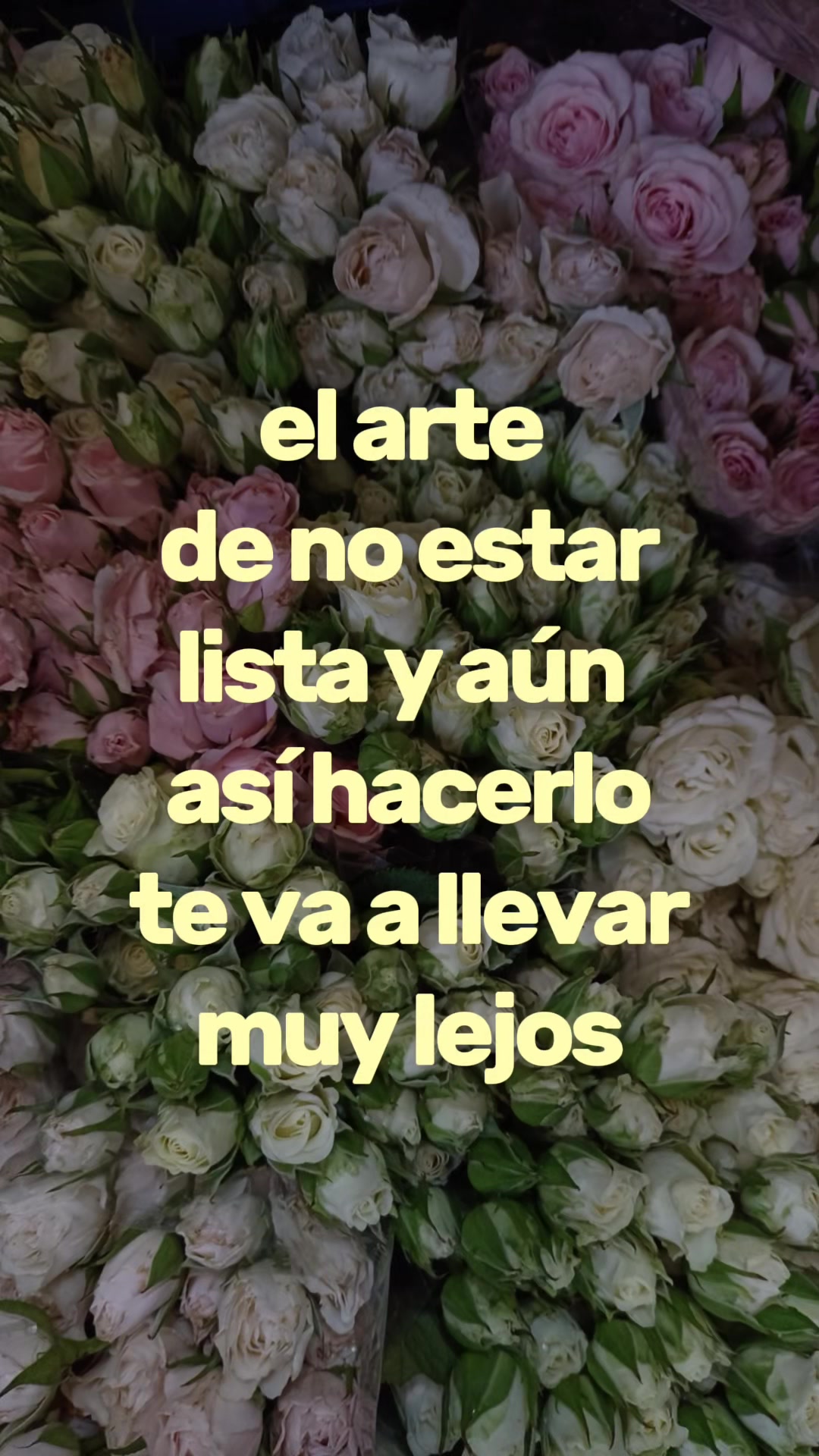 @Abbymtz