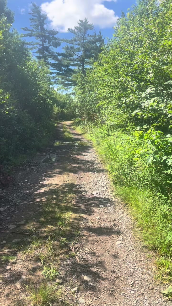 @NewTrailsOutThere