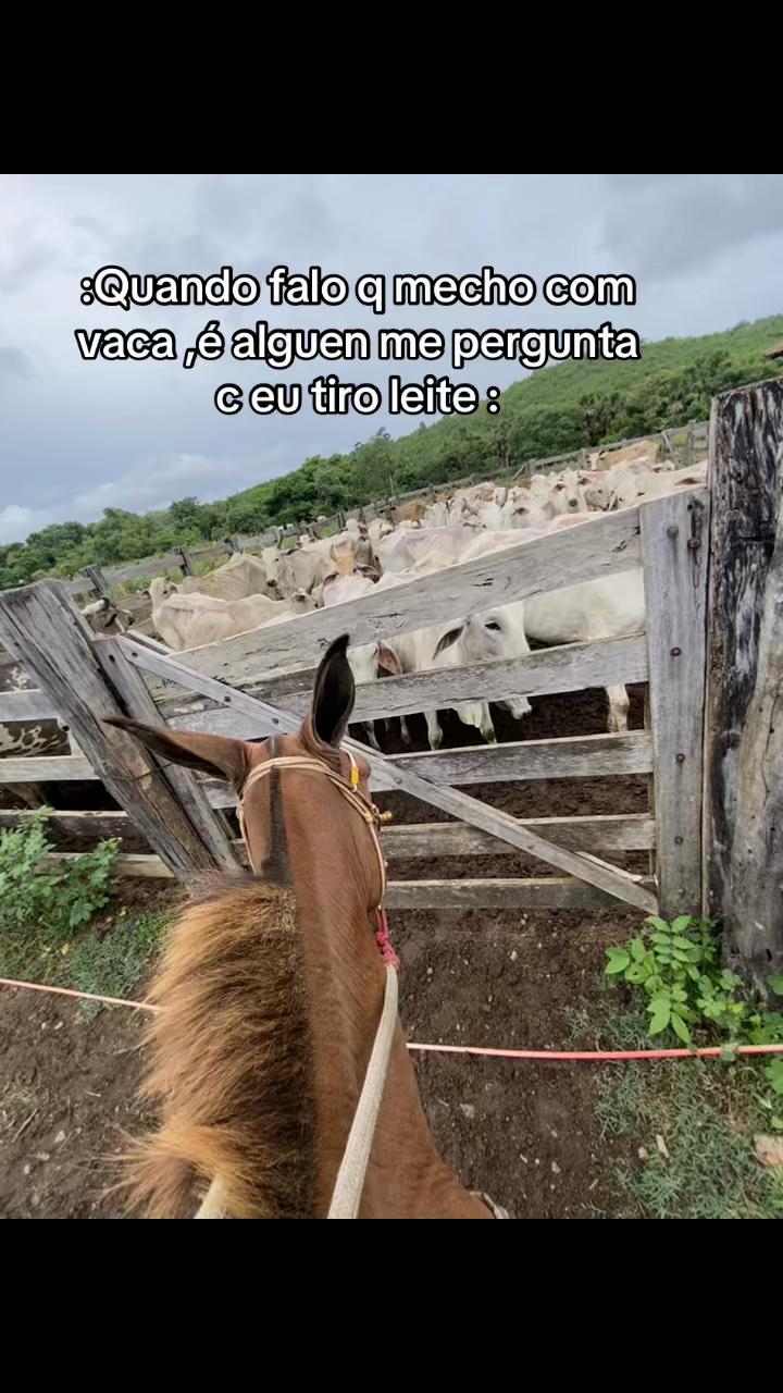 @silva__uai