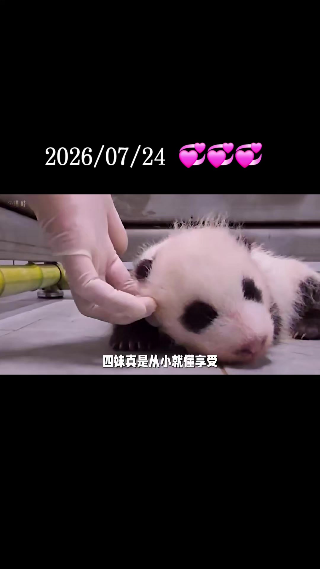 @福寶需要愛的抱抱