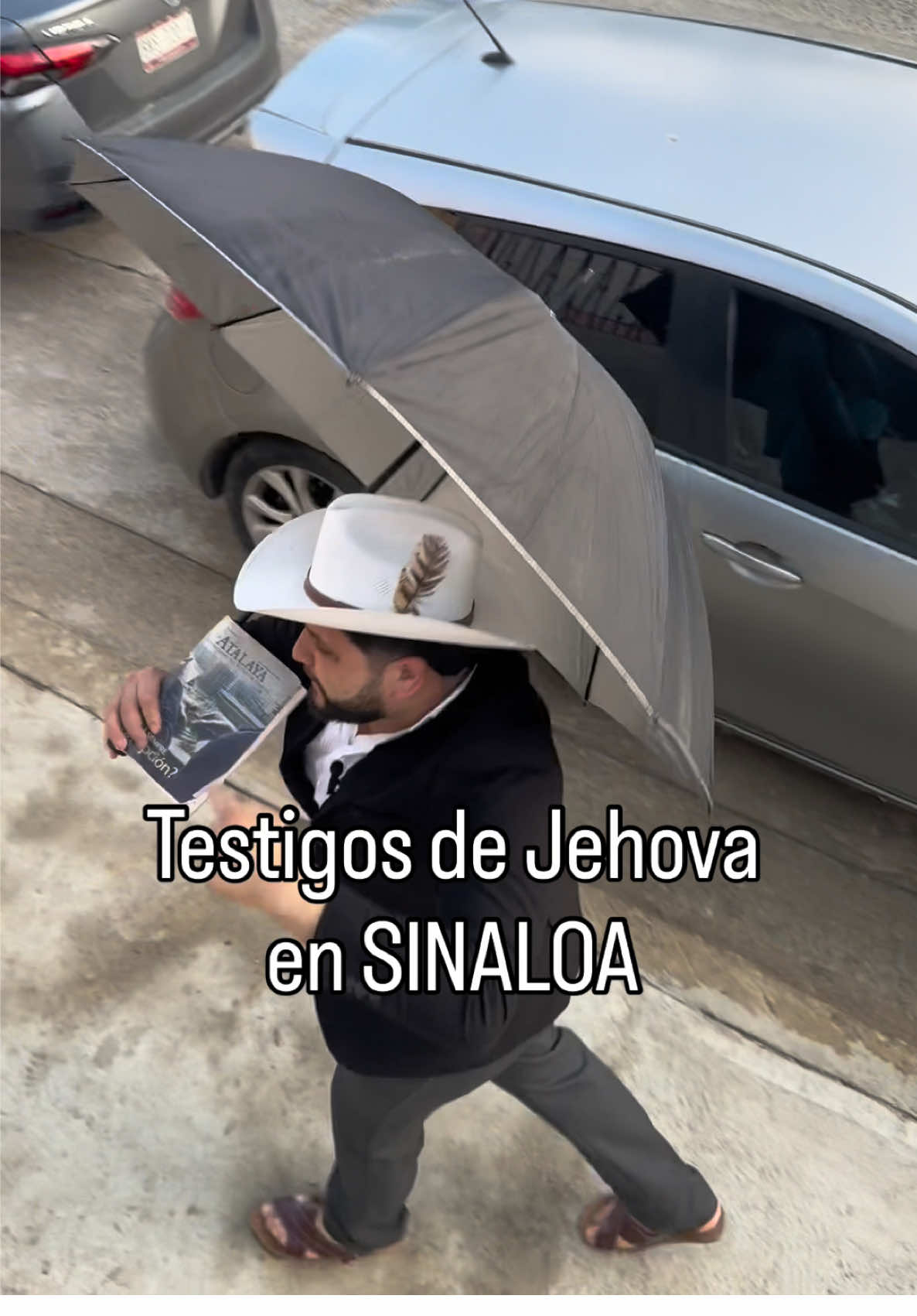 @ALVARADO