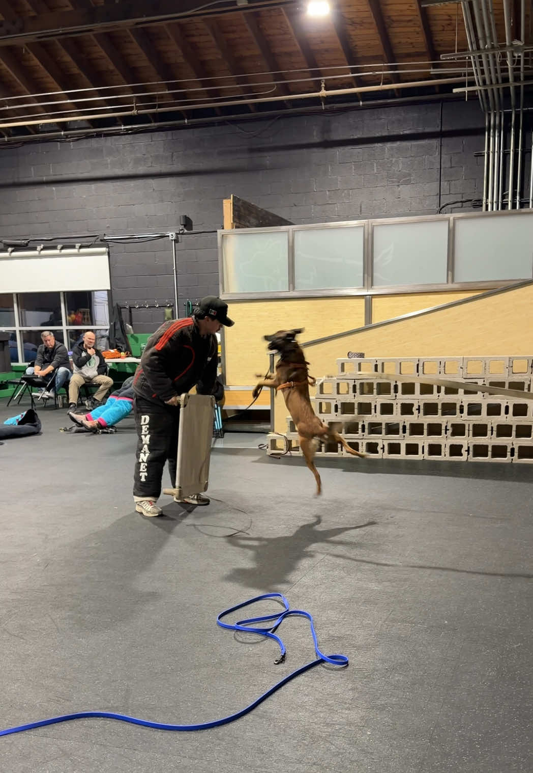 @dogstrainjen