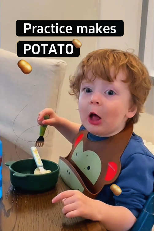 @funny.pets.babyone