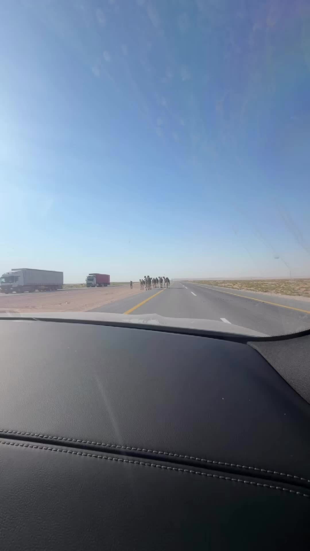 @حمد الكعبي 🇶🇦