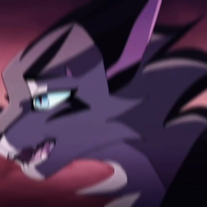 @𝐖𝐚𝐫𝐫𝐢𝐨𝐫 𝐜𝐚𝐭𝐬🐈🐈⬛