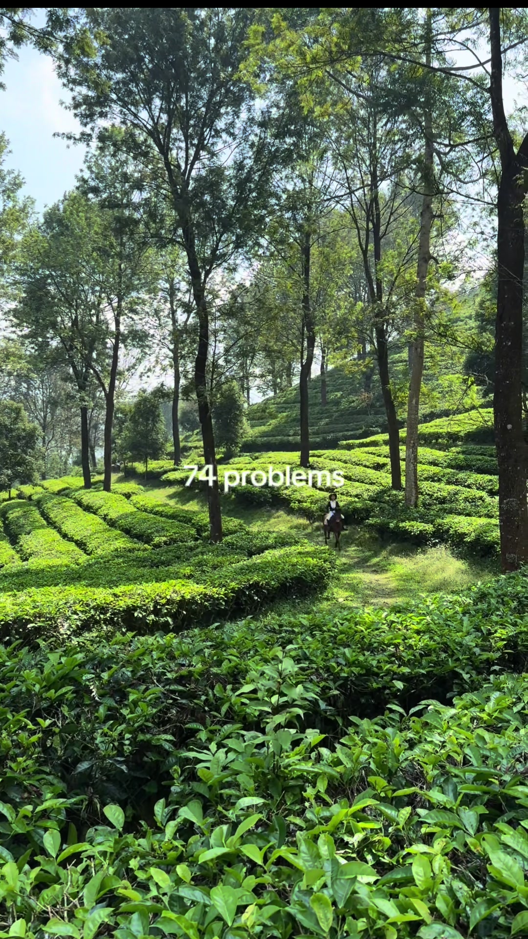 @Puy Azwir Brahmantya