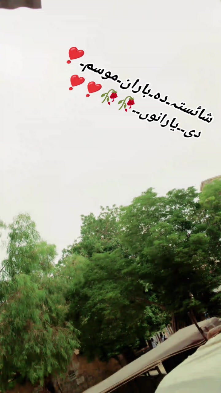 @Shahid khkar❤️🌹❤️🌹