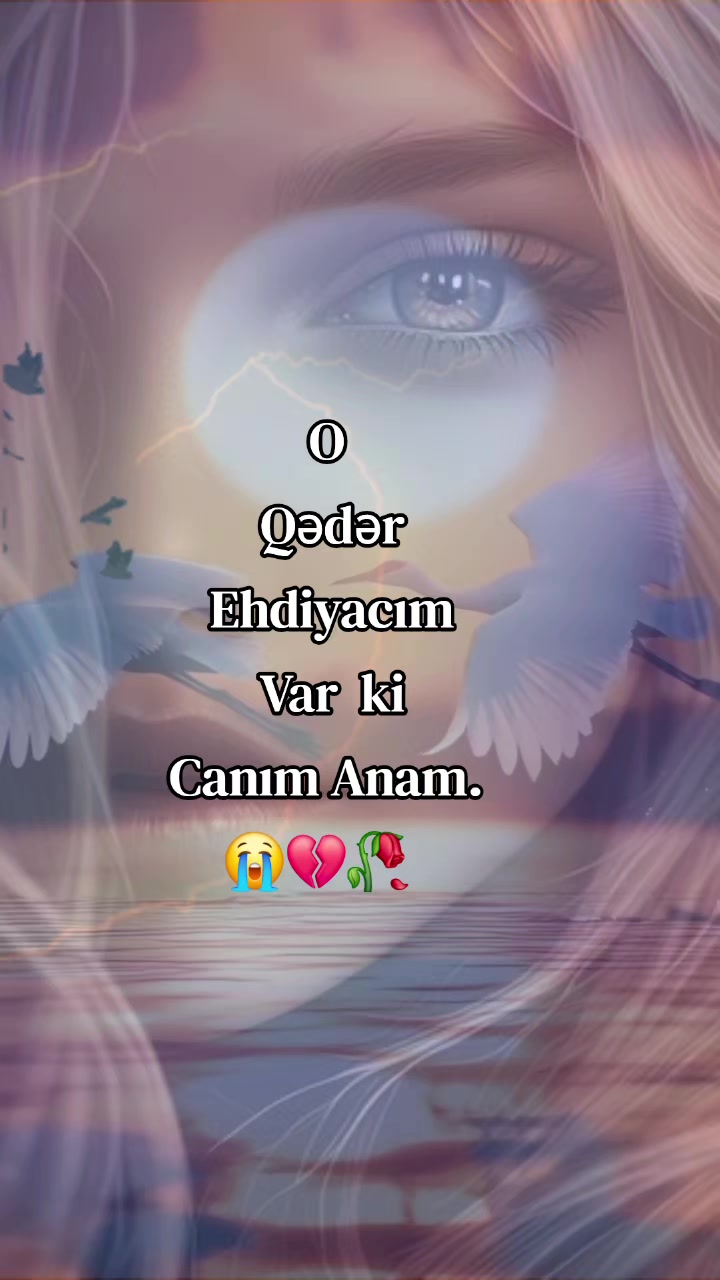 @๐ค๐ต๐๐๐๏ธ