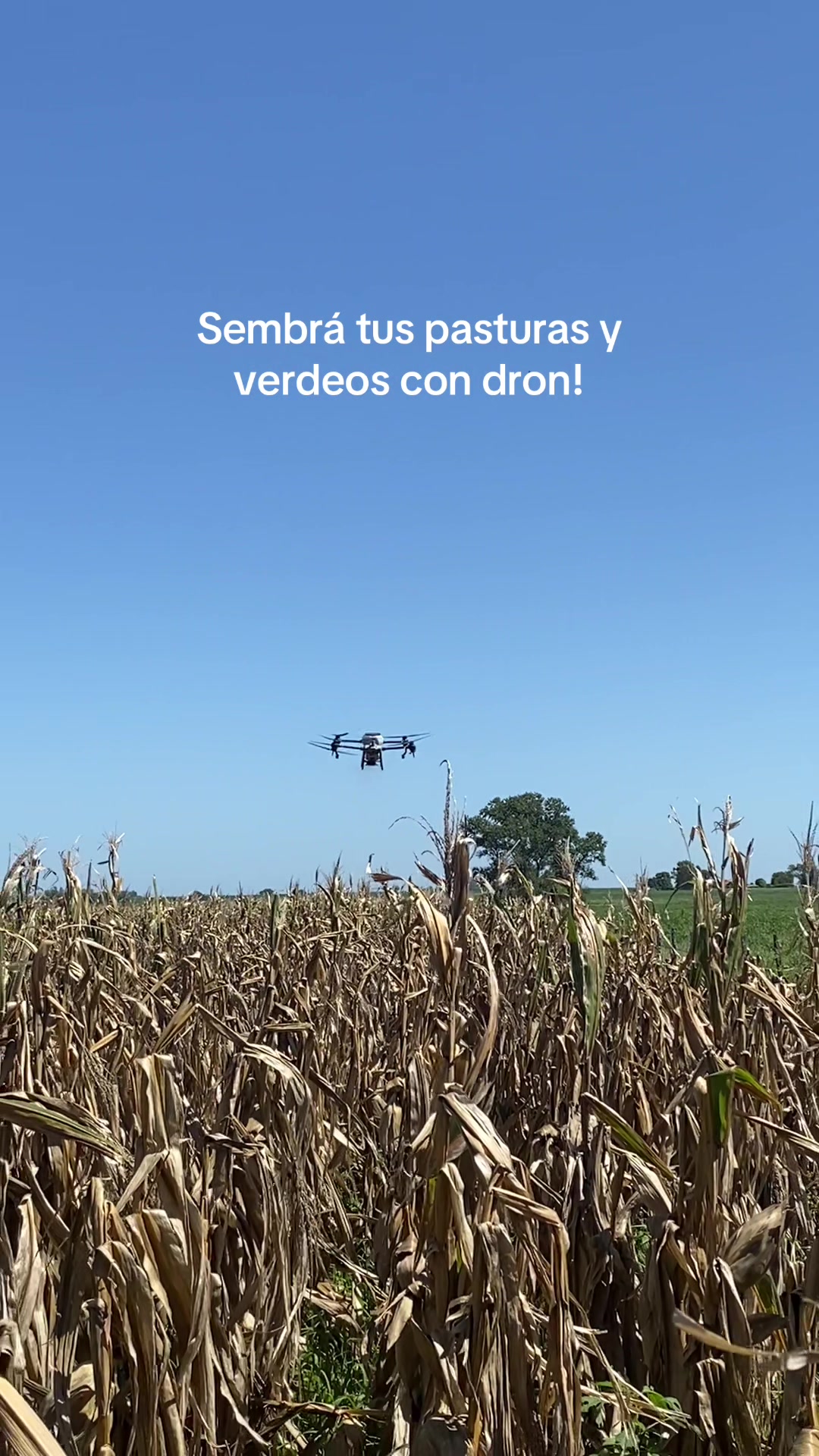 @smartdrop.agro
