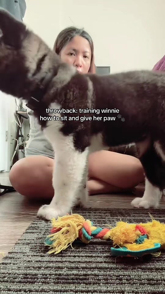 @tiara + winnie