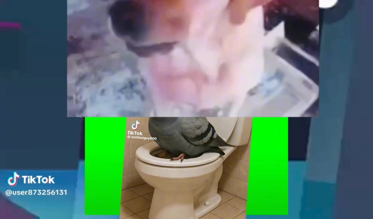 @CrawfishSeally