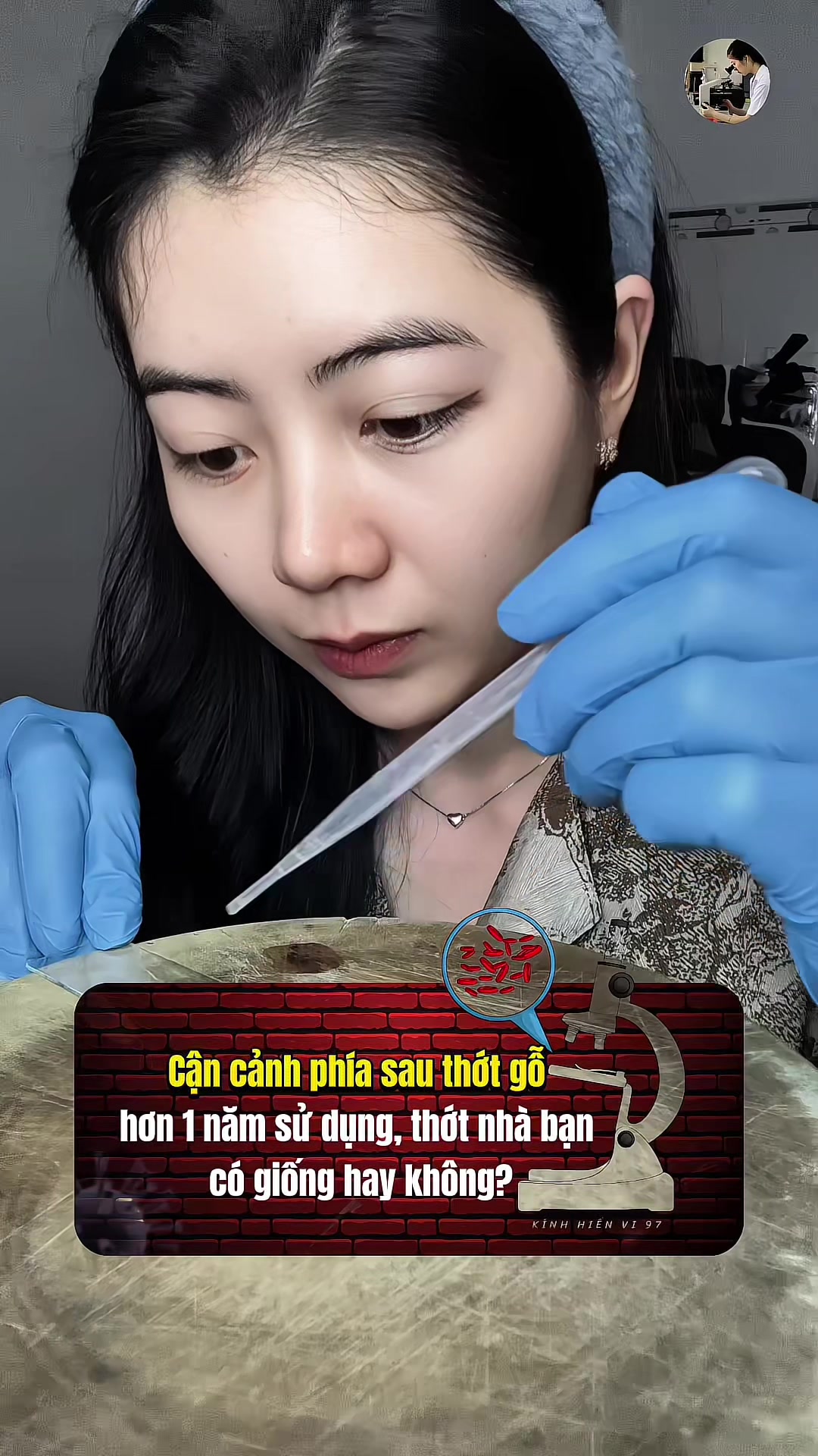 @Kính hiển vi 97