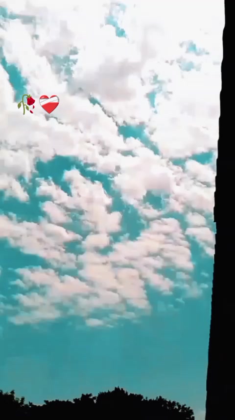 @✨شہباز خان💯