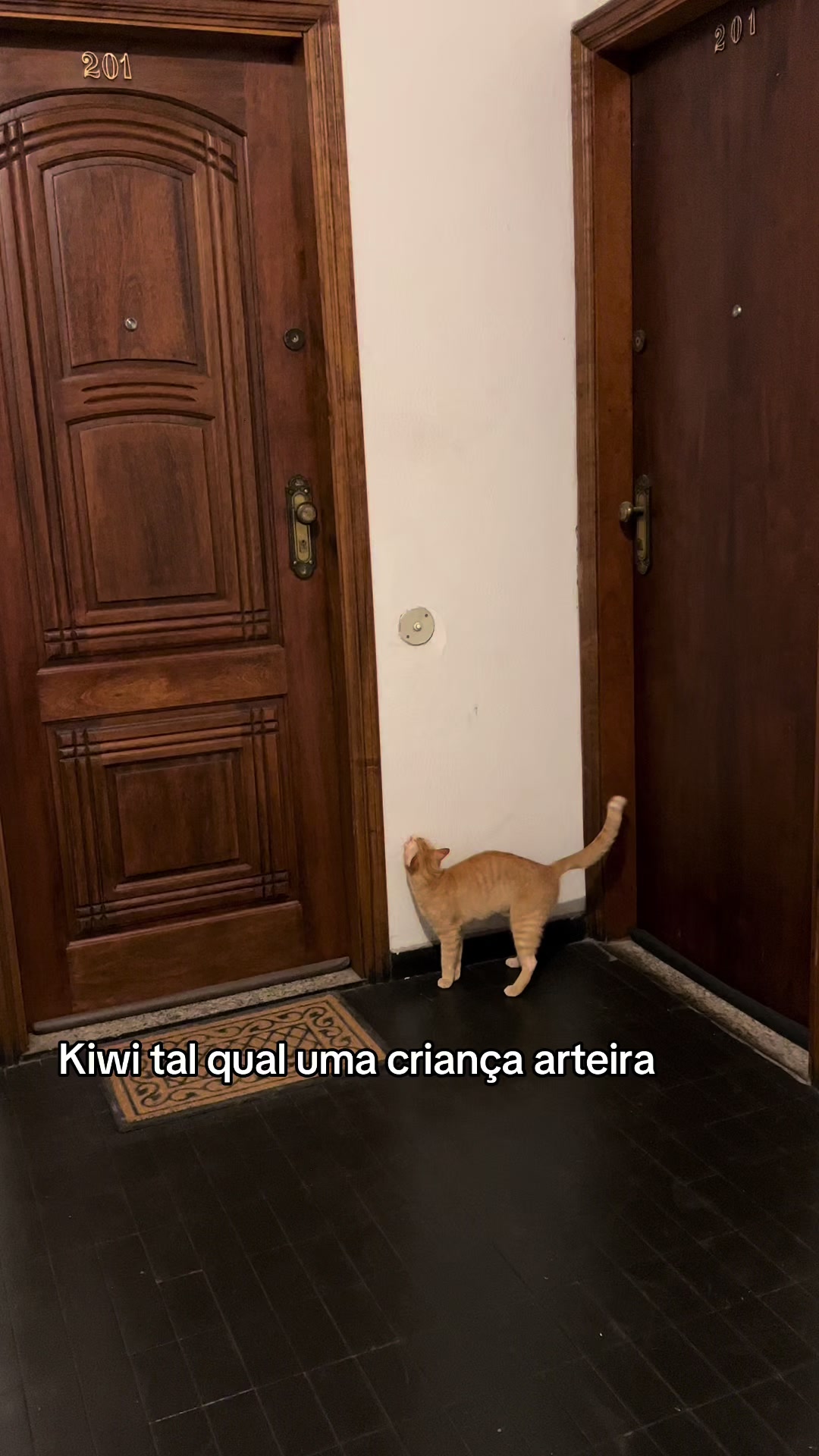 @Kiwi & Camomila