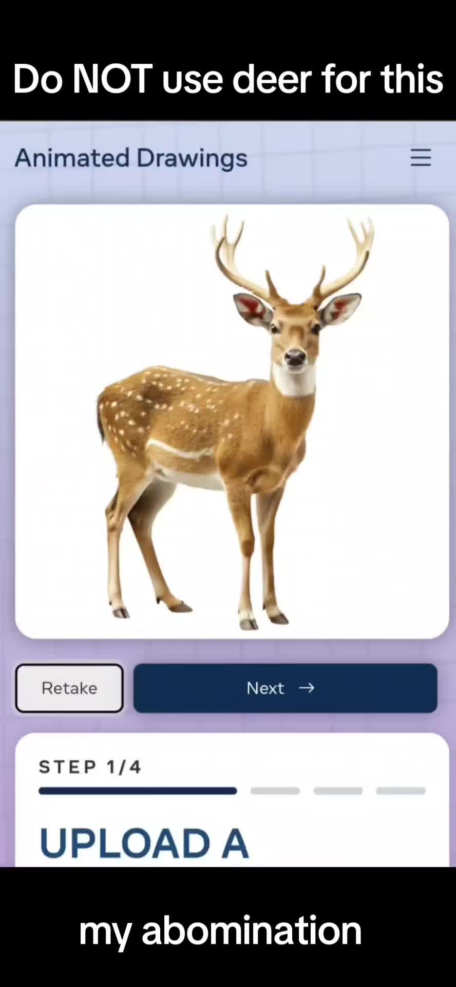 @mvp