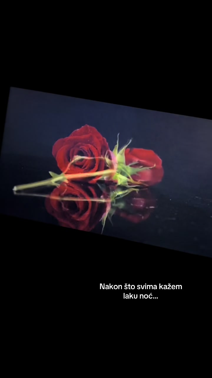 @bjevt
