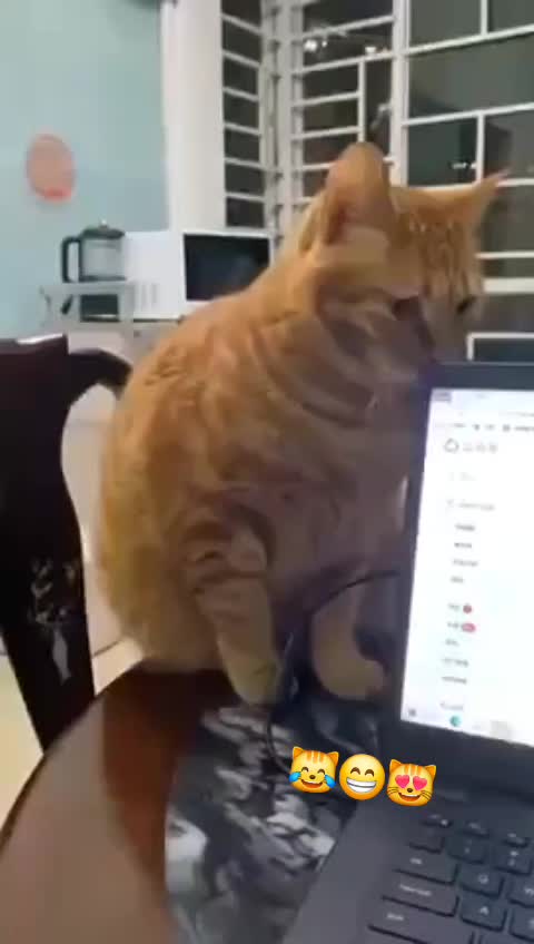 @🤣Vidéos Drôles.Zzz