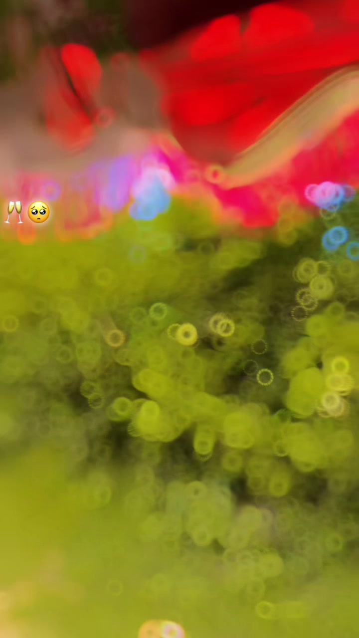 @꧁𓊈𒆜مخلص جوئیہ𒆜𓊉꧂804🥷