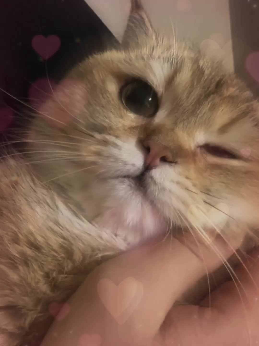 @Mihamii35