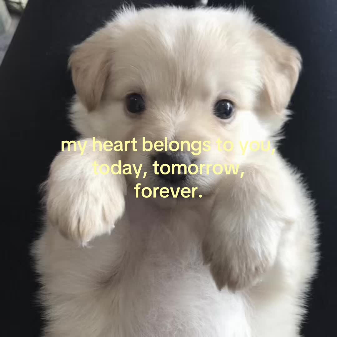 @thisbelovedlife