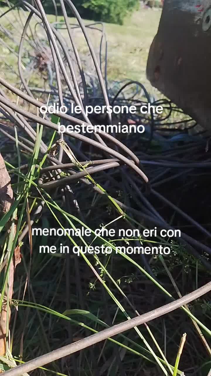 @fattelicazzitua