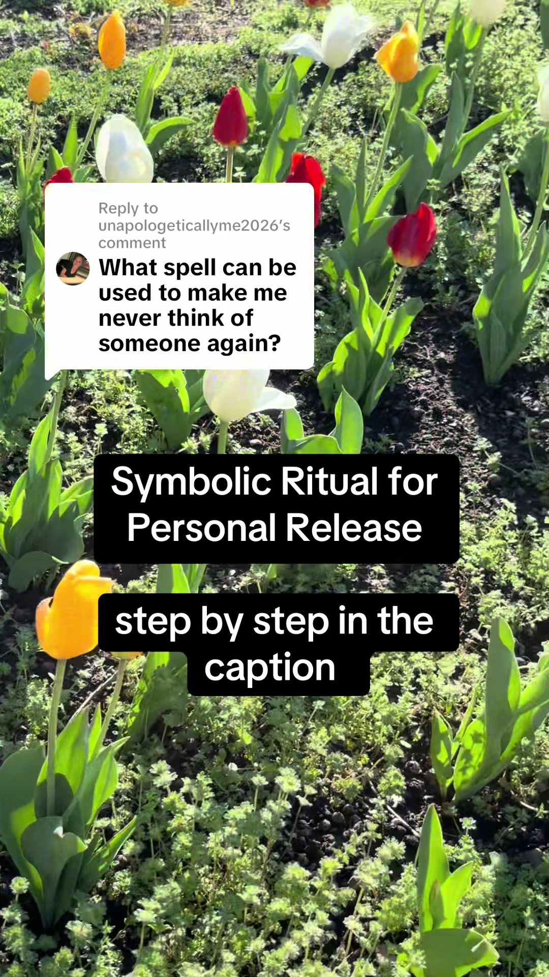 @The🧿OG🖤TikTok🖤Witch