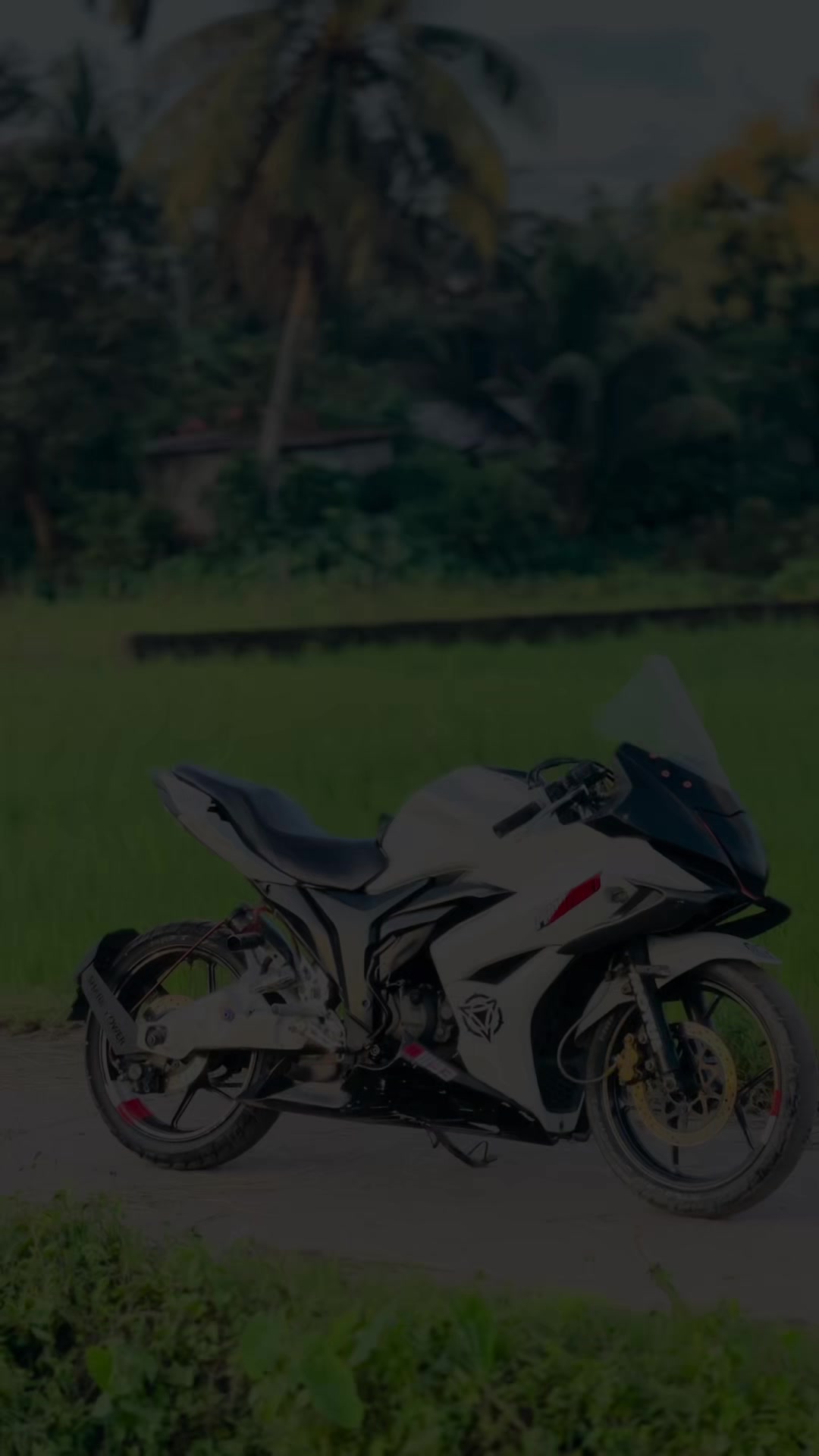 @ALAMIN BHAI 🚀