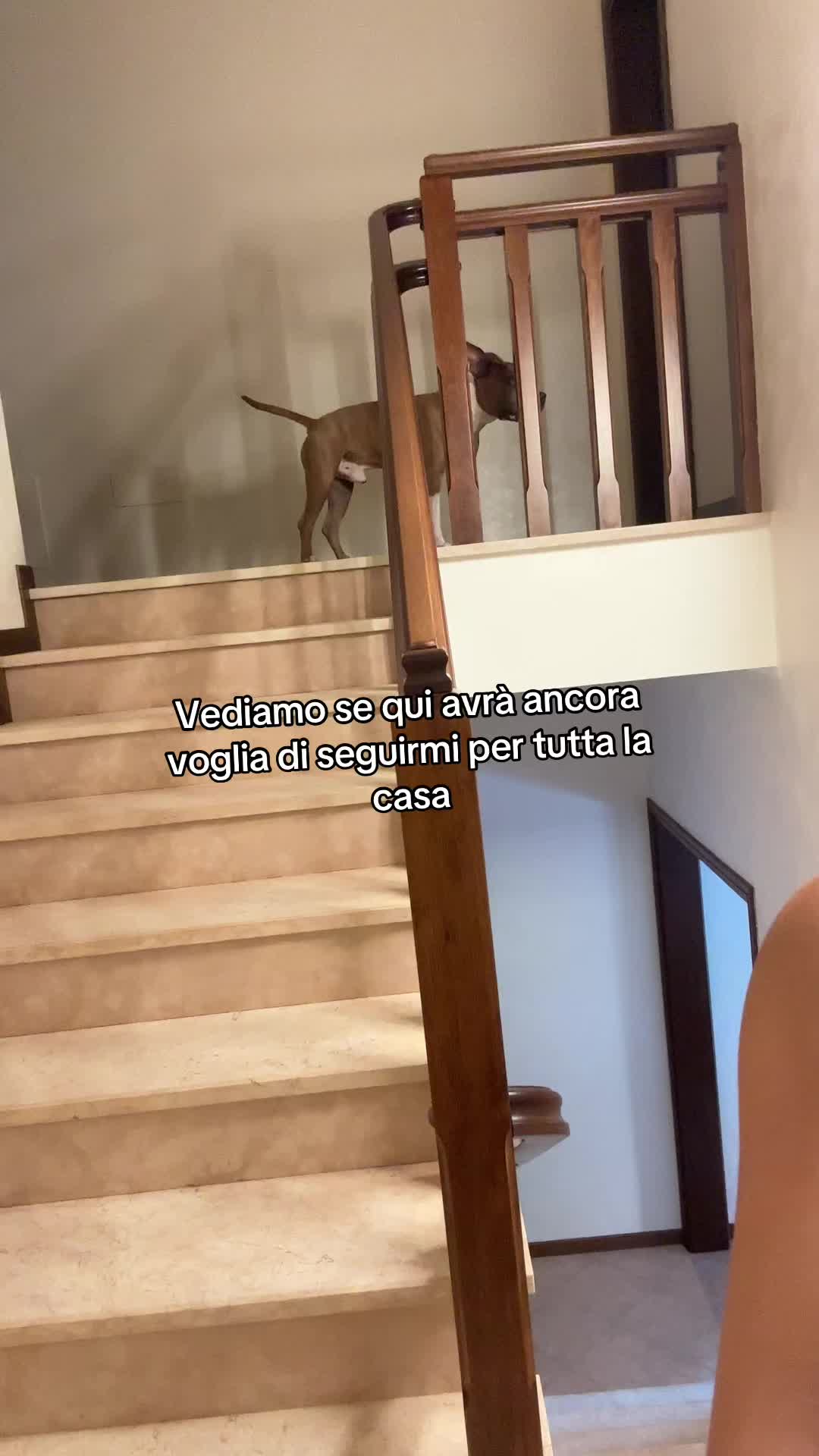 @Serena hadaji