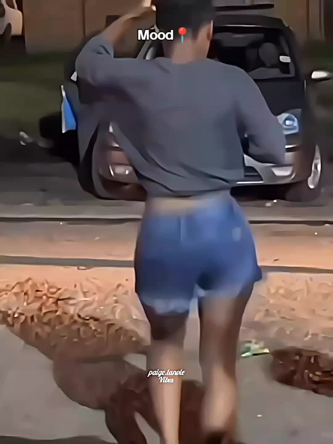 @paigelanoievibes