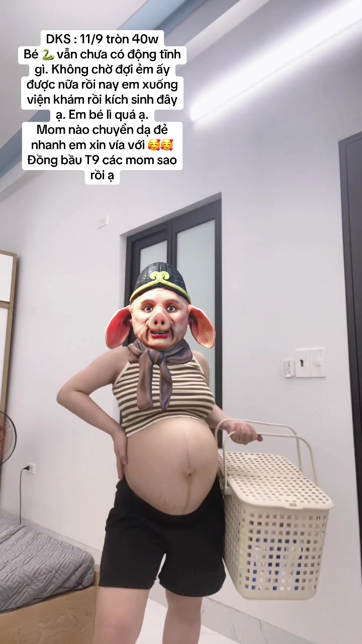@maipt1998