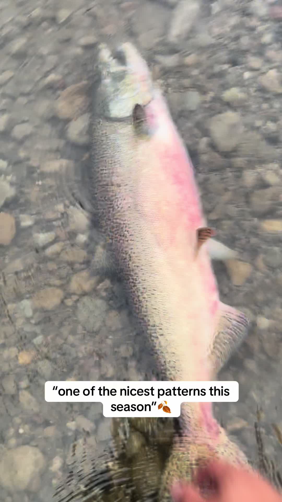 @DaddysCreek