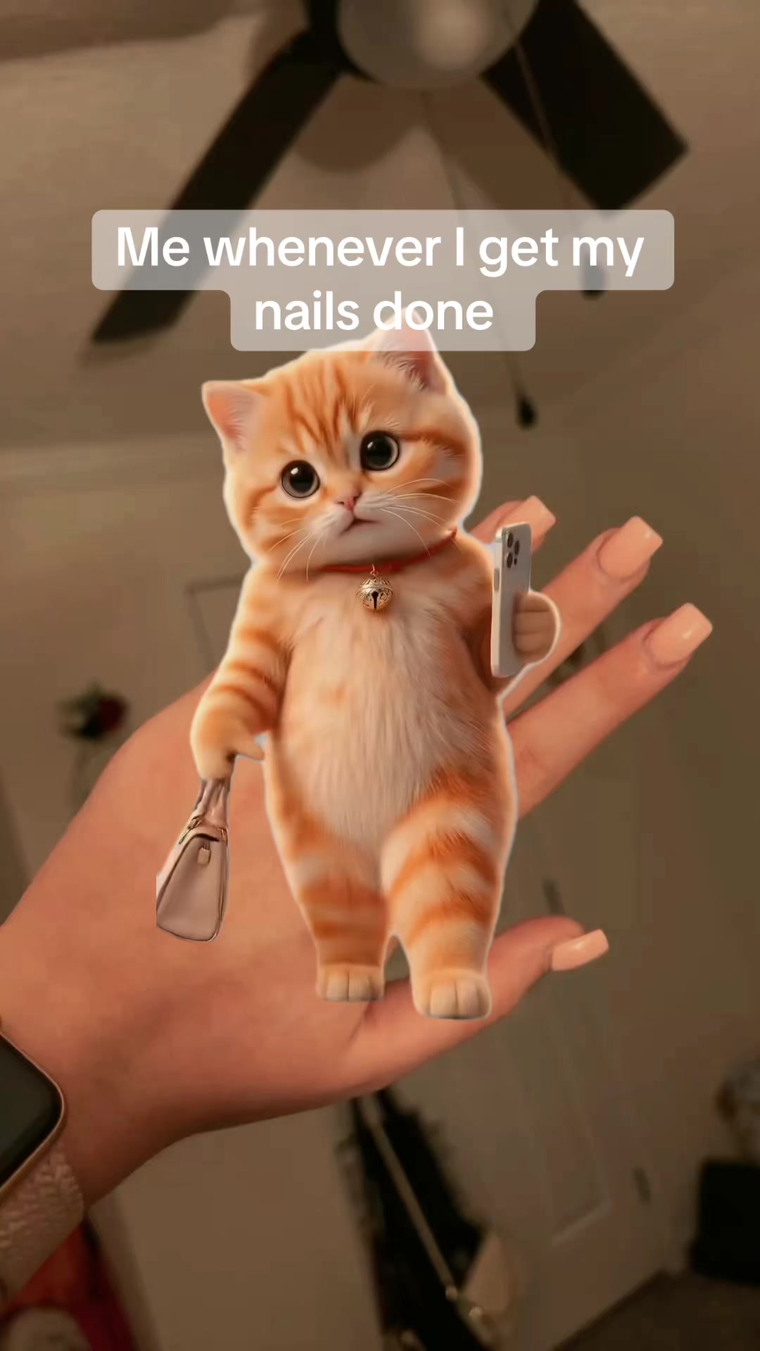 @tytate0