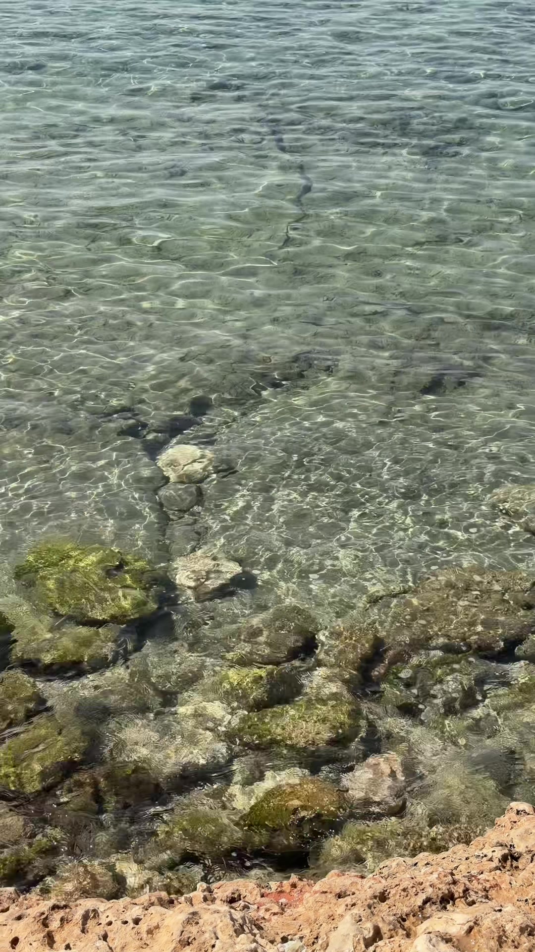 @anutaww4