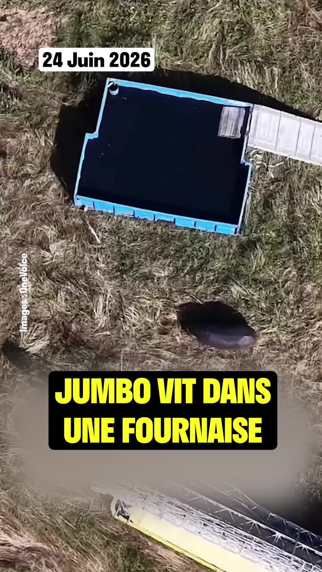 @Vakita