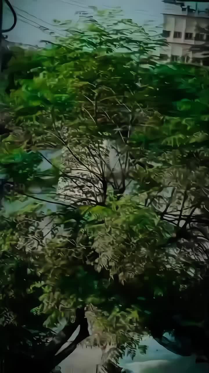 @亗ЅUⅅᎯℐЅ ᏦℋᎯℕ♡●