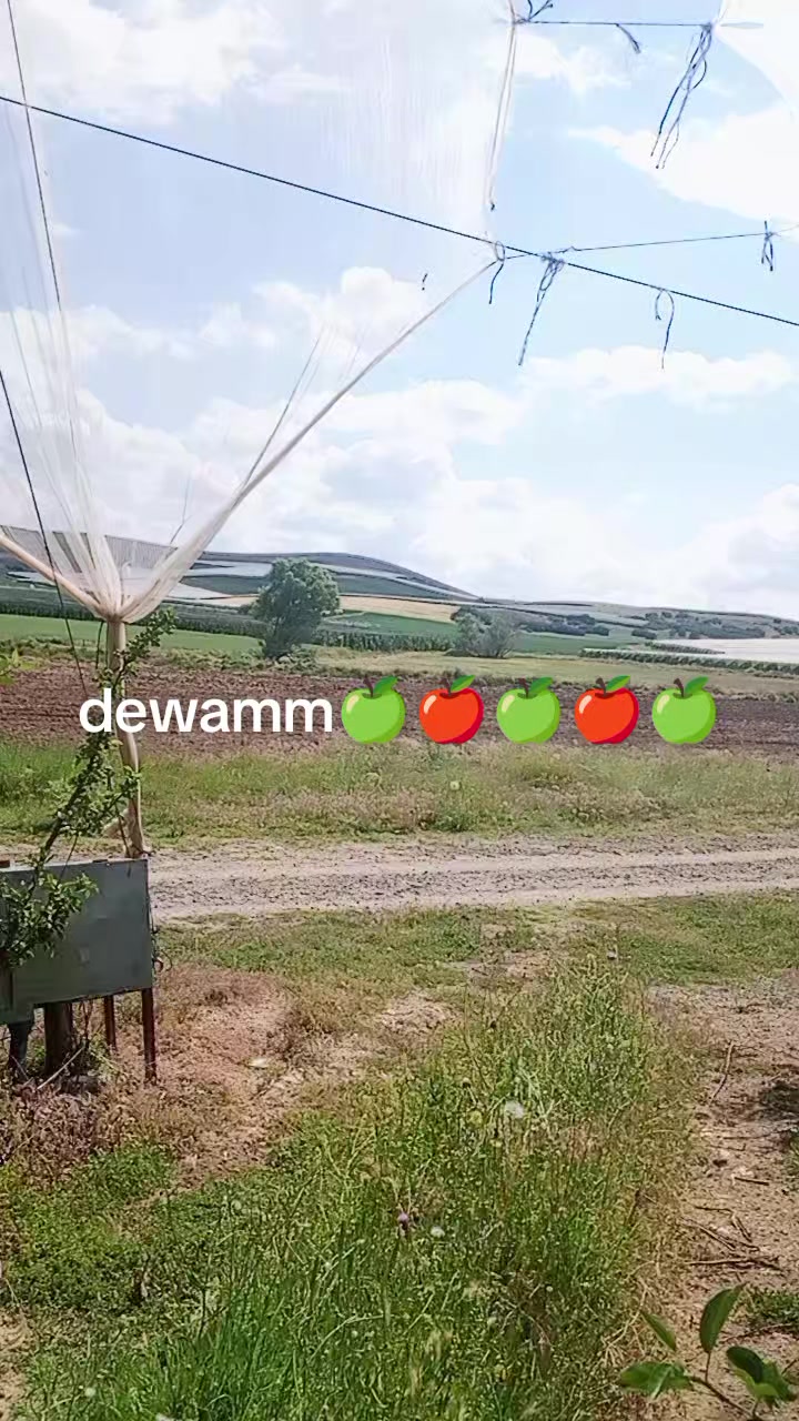 @MELOCaN