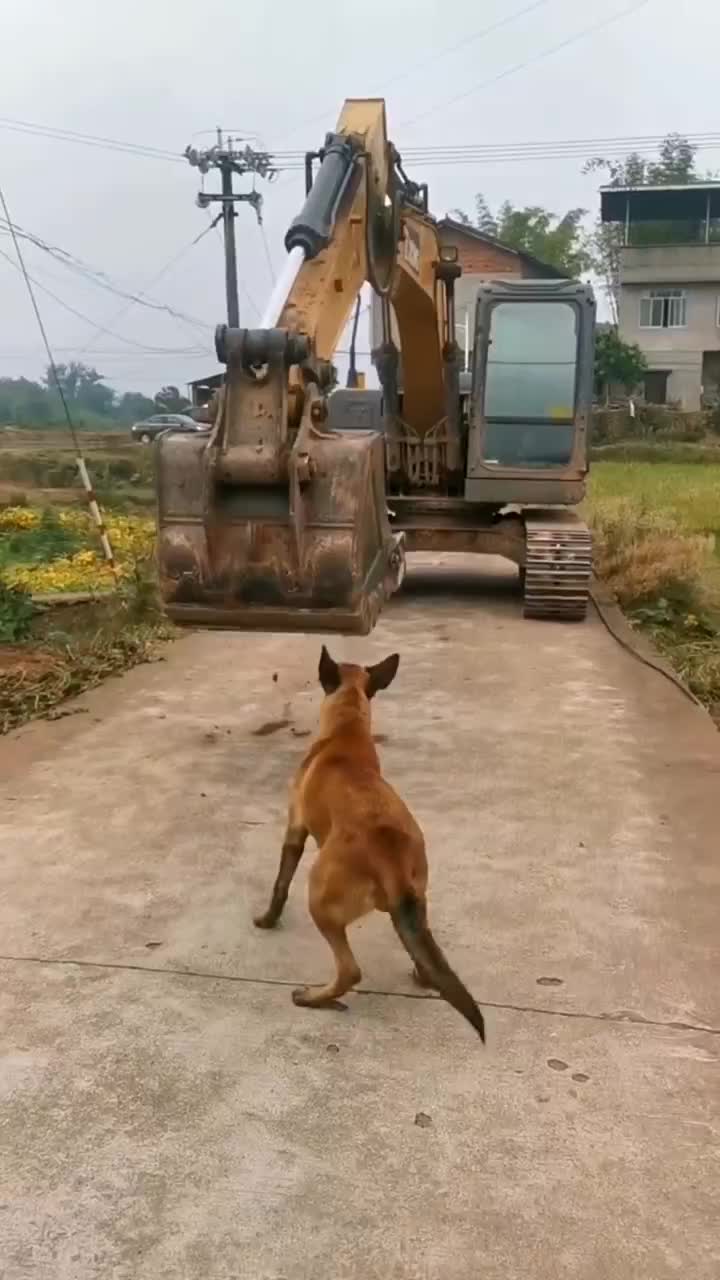 @Haode-machinery