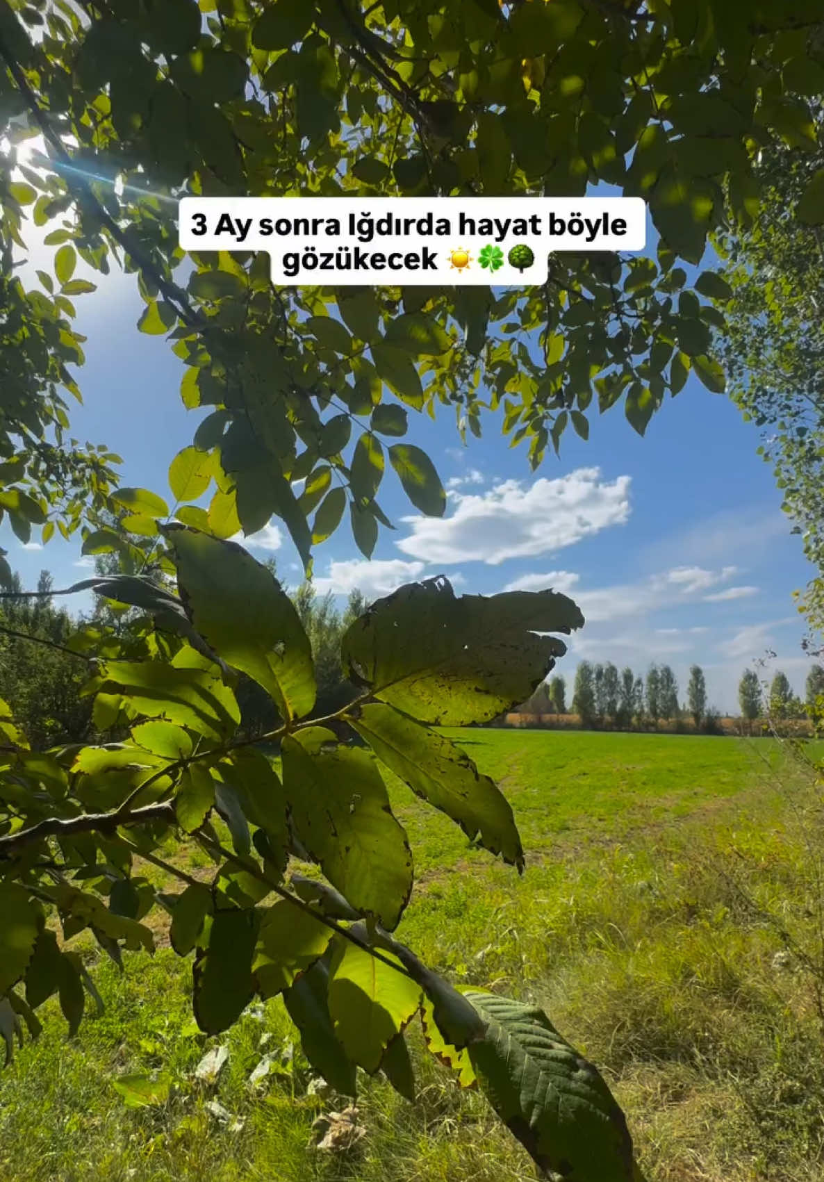 @𝐁𝐀𝐑𝐈Ş Ç𝐄𝐋İ𝐊