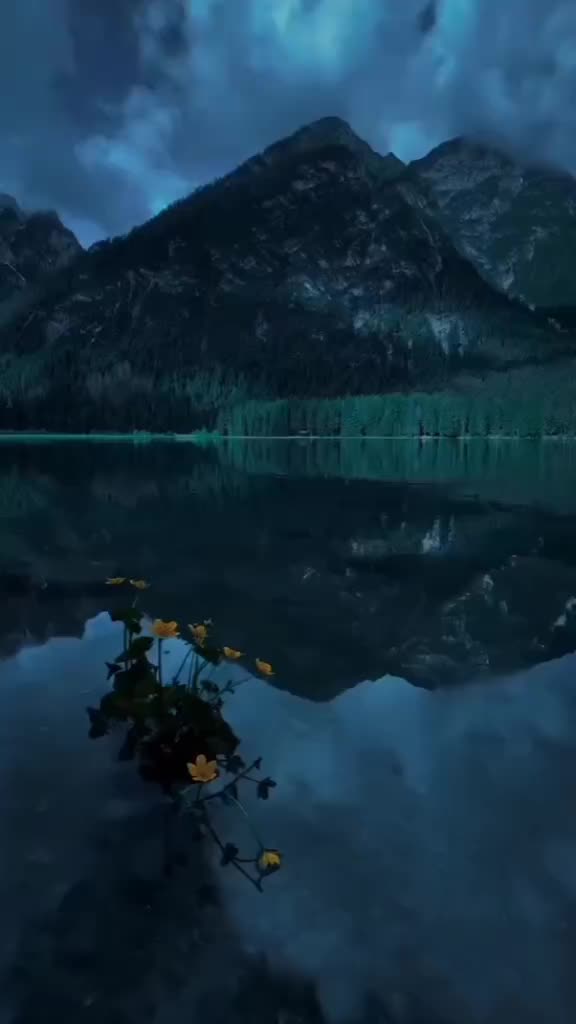 @aziz aziz467
