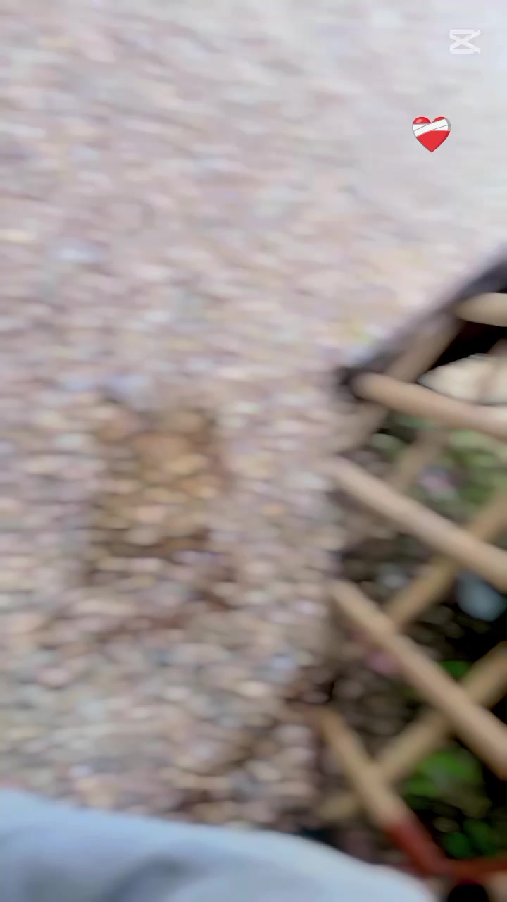 @ᴋᴀɴxᴀ