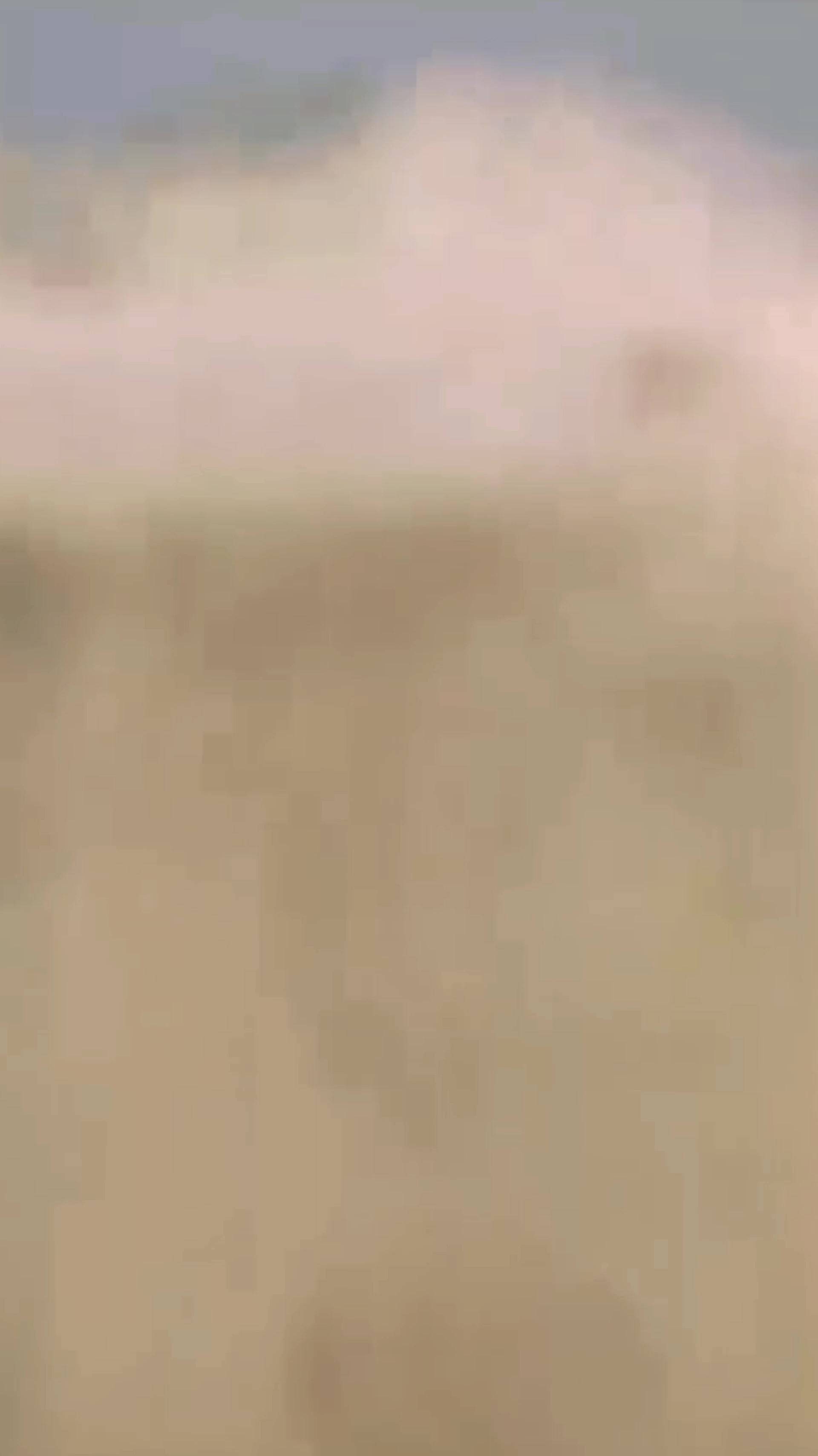 @❦🅓🅔🅓🅘 🅂🅄🅆🄸🅃🄽🄾0