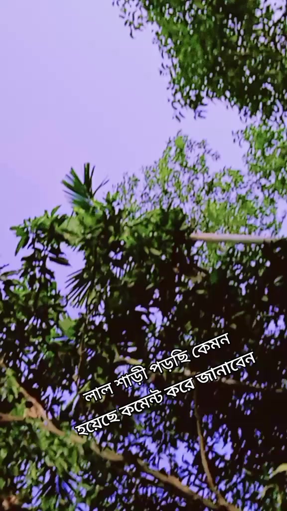 @🦋🌺প্রজাপতি🌺🦋