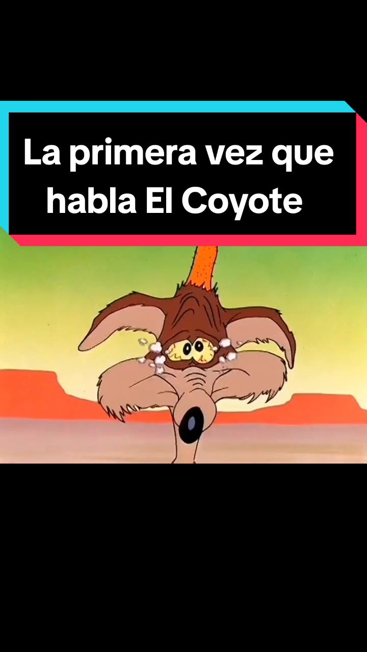 @La Bolsa Magica