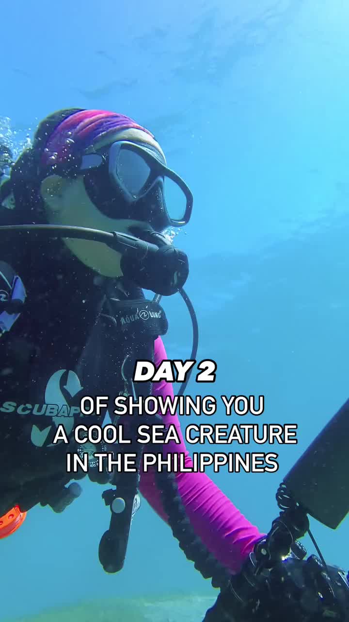 @Scuba Diving with Ara